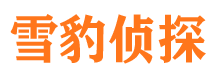 博爱寻人公司